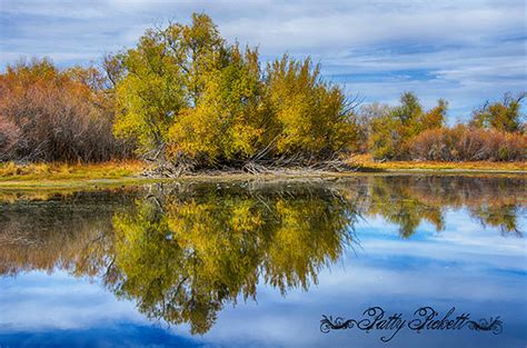 mud lake wildlife management area..Idaho | Pattys-photos | Flickr