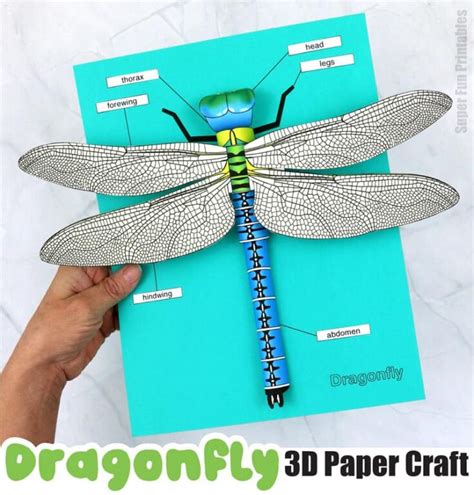 3D paper dragonfly - The Craft Train