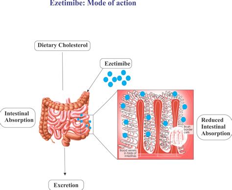 Ezetimibe - Drugs Details