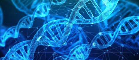 Molecular Biology and Genetics - Department of Biology