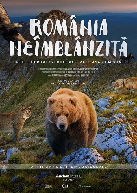 Documentary on Romania’s rich wildlife premieres this spring | Romania ...