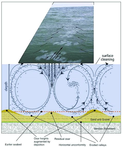 Langmuir circulation can align frazil in parallel rows on the surface ...