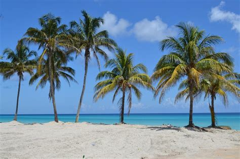 Siesta Key Beach Named #2 Beach in the U.S. by TripAdvisor