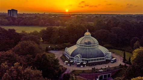 Sefton Park Palm House celebrates two decades since its reopening | ITV News Granada