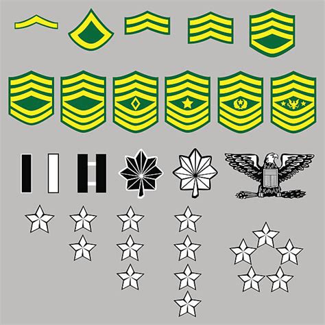 Army Lieutenant Colonel Insignia