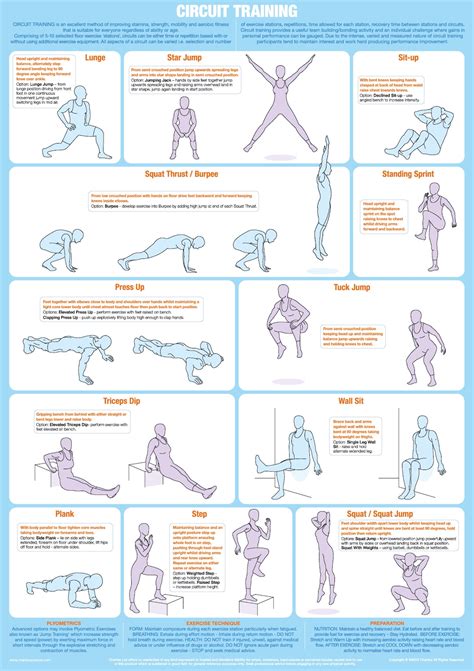 Circuit Training Exercise Poster, Fitness Chart - Etsy UK