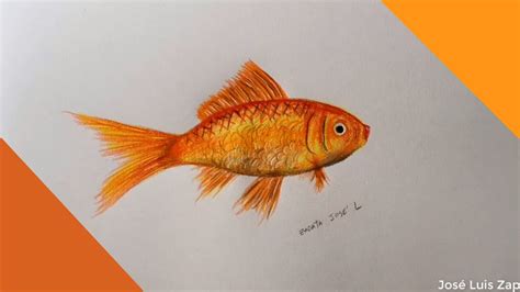 Dibujo Super realista de un Pez Dorado | Super realistic drawing of a ...