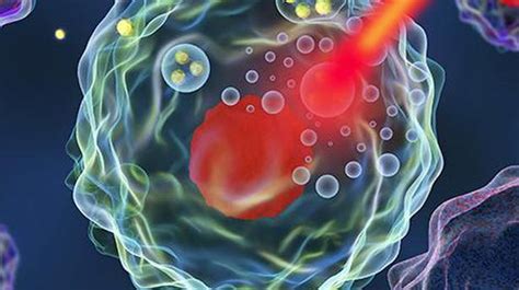 Nanoparticles therapy a double blow to cancer - The Hindu