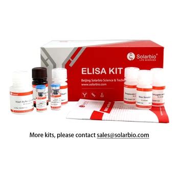 Human Interleukin-6 (il-6) Elisa Kit - Buy Il6 Elisa Kit,Interleukin 6,Human Il-6 Quantikine ...