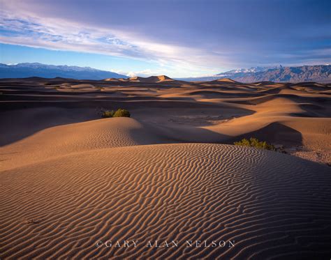 Sand Dunes on Mesquite Flats : Death Valley National Park, California : Gary Alan Nelson Photography