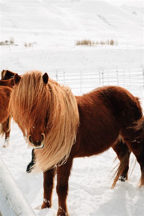 Driving Iceland's Ring Road in the Winter in 8 Days - A step-by-step ...