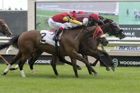 Woodbridge Opens Up 7-Year-Old Campaign In Niagara - Racing Dudes