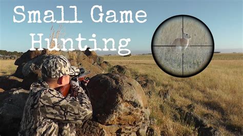 Small Game Hunting Australia - YouTube