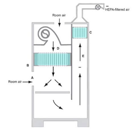 Biosafety Cabinet Class 2 Principle | Cabinets Matttroy