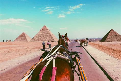 Cairo Day Tour to the Pyramids & Egyptian Museum From Sokhna Port