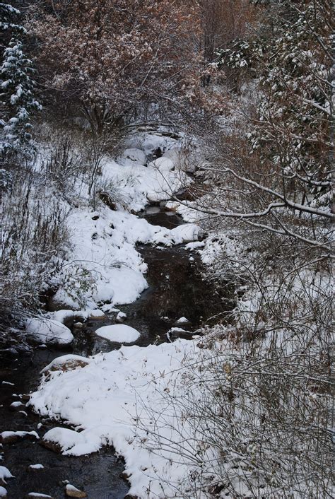 Snowfall ushered in 2015 • Idyllwild Town Crier