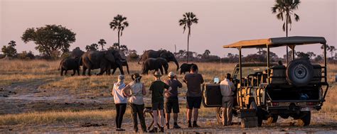 Best African Safari Tours: Our Top 10 Picks | Go2Africa