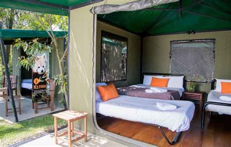 Roar and Snore | Sydney Harbour Glamping