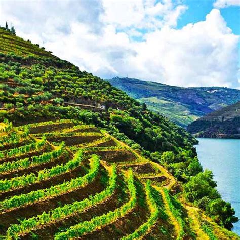 Wine Travel in Portugal - Premiere Tours