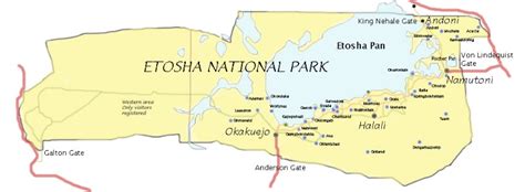 Etosha Pan - This is what you can expect to see in Namibia's flagship game park