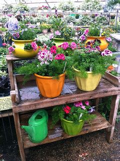 Clay Pots - Lafayette Florist & Greenhouses in Lafayette, … | Flickr