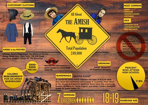 All About the Amish | Visual.ly | Amish, Amish community, Amish culture