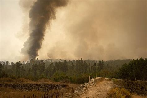 Thousands more evacuated as Tenerife fire rages on Spain's Canary Islands