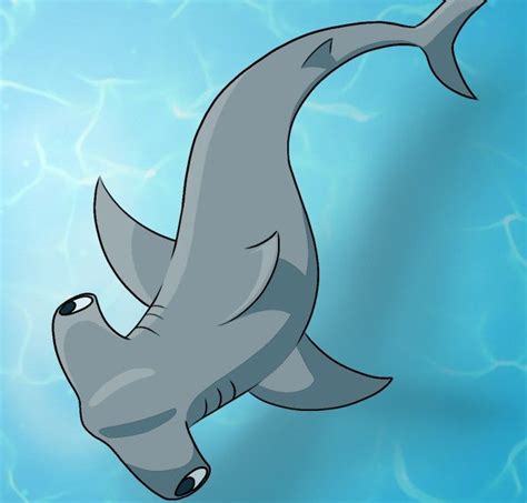 How To Draw A Hammerhead Shark - Draw Central | Shark drawing, Shark drawing easy, Shark painting