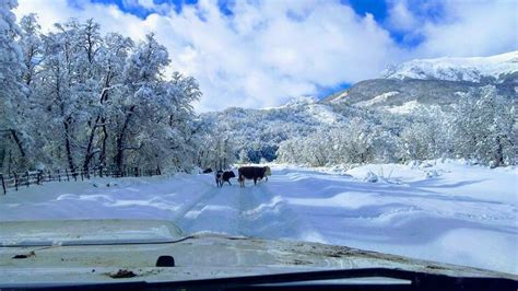 Anomalous weather in Argentina: Bariloche reports coldest temperature in its history and ...