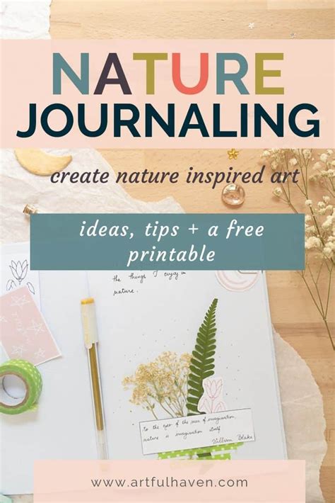 Nature Journaling: Create Nature-Inspired Art | Artful Haven