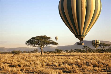 Serengeti Safari Holidays | Tanzania | Safari Guide Africa