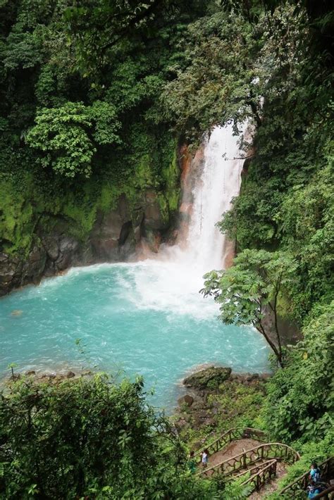 Rio Celeste Waterfall and Monkey's!