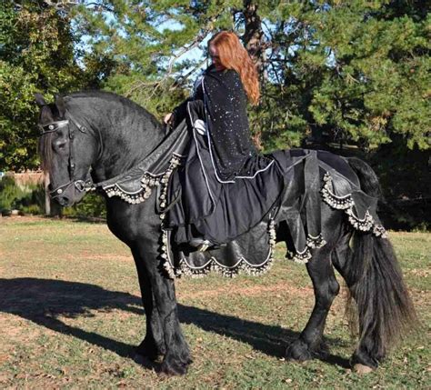 Friesian~~Darktanian. / So beautiful EL. | Friesian horse, Horse ...