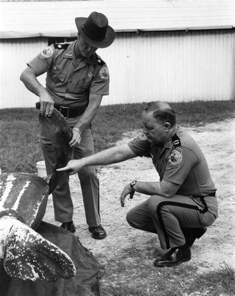 Florida Memory - Florida Marine Patrol officers with a Leatherback sea turtle