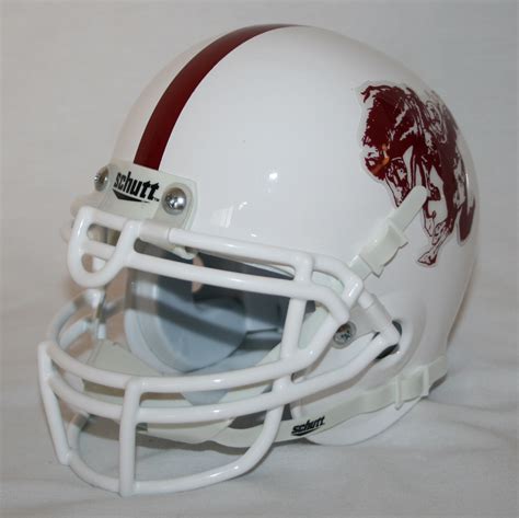 Schutt Custom Mini Football Helmets