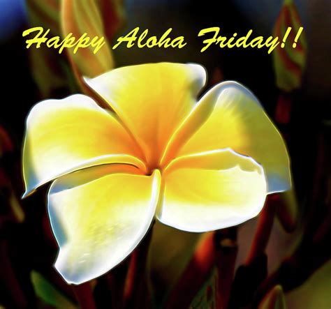 Happy Aloha Friday Photograph by Pamela Walton - Pixels