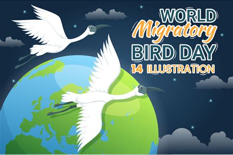 14 World Migratory Bird Day Illustration | Deeezy