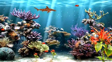 Moving Fish Tank Desktop Backgrounds | Zoom Wallpapers