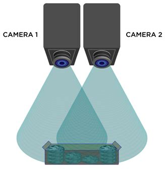 Stereo Vision for 3D Machine Vision Applications