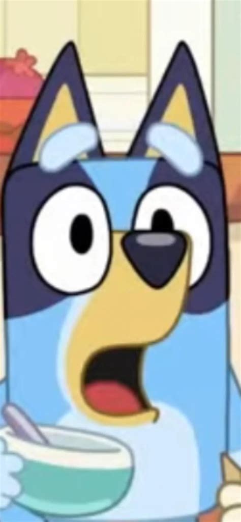 What Bluey episode made you get shocked the most!?!? 😧😧😧😧😧 : r/bluey