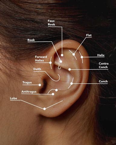 Pain Scale: Ranking Ear Piercings from Least to Most Painful – Cura - Piercing Jewellery