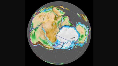 Discover the Fossil that Reveals the Existence of Gondwanaland