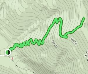 Blacktail Mountain Trail - Idaho | AllTrails