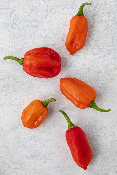 Sweet & Mild Chili Peppers - Chili Pepper Madness