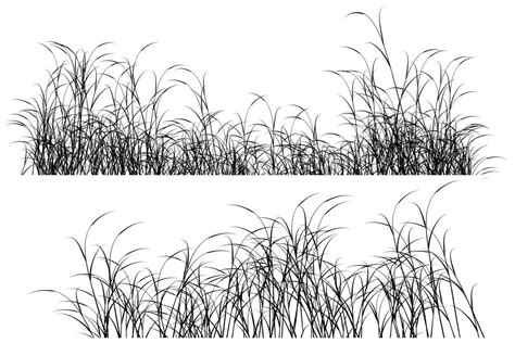 tall grass silhouette 19472454 Vector Art at Vecteezy