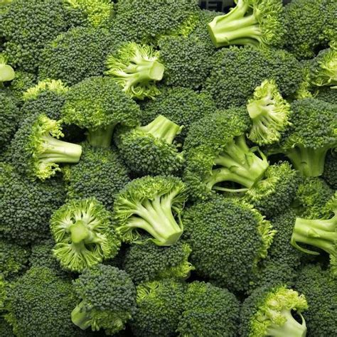 Broccoli Seeds - Etsy