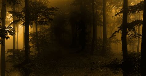 The Haunted Forest - Welcome to Glenlore Trails