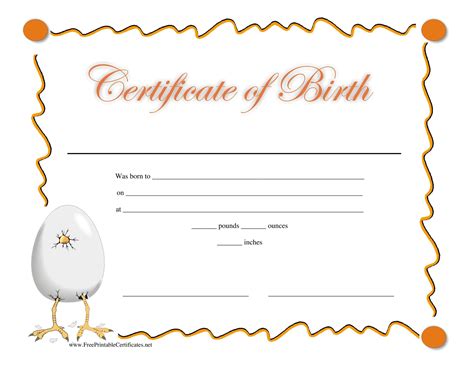 15 Birth Certificate Templates (Word & PDF) ᐅ TemplateLab