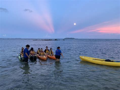 Why Do Bioluminescent Bays Glow? | World Travel Activities