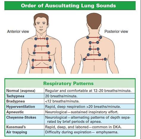 thenursingblog: “ Charts and Figures: Inhale, Exhale ” See more charts & figures | Nursing ...